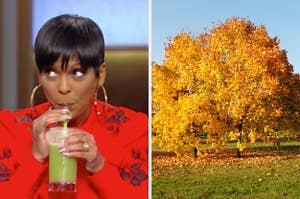 On the left, Tamron Hall drinking a green smoothie on her show, and on the right, a tree with fall leaves on it and a pile of leaves underneath it