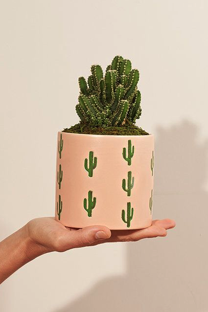 a model holding up a succulent in a pink pot