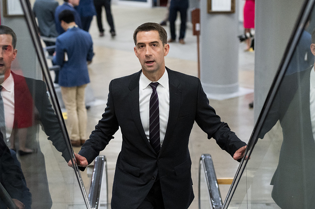 What Republican Is Popping Up Most In Early 2024 Presidential States? Tom Cotton, Officials Say.