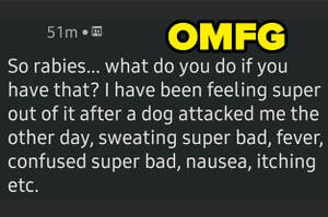 A woman asking the internet what she should do about her rabies symptoms