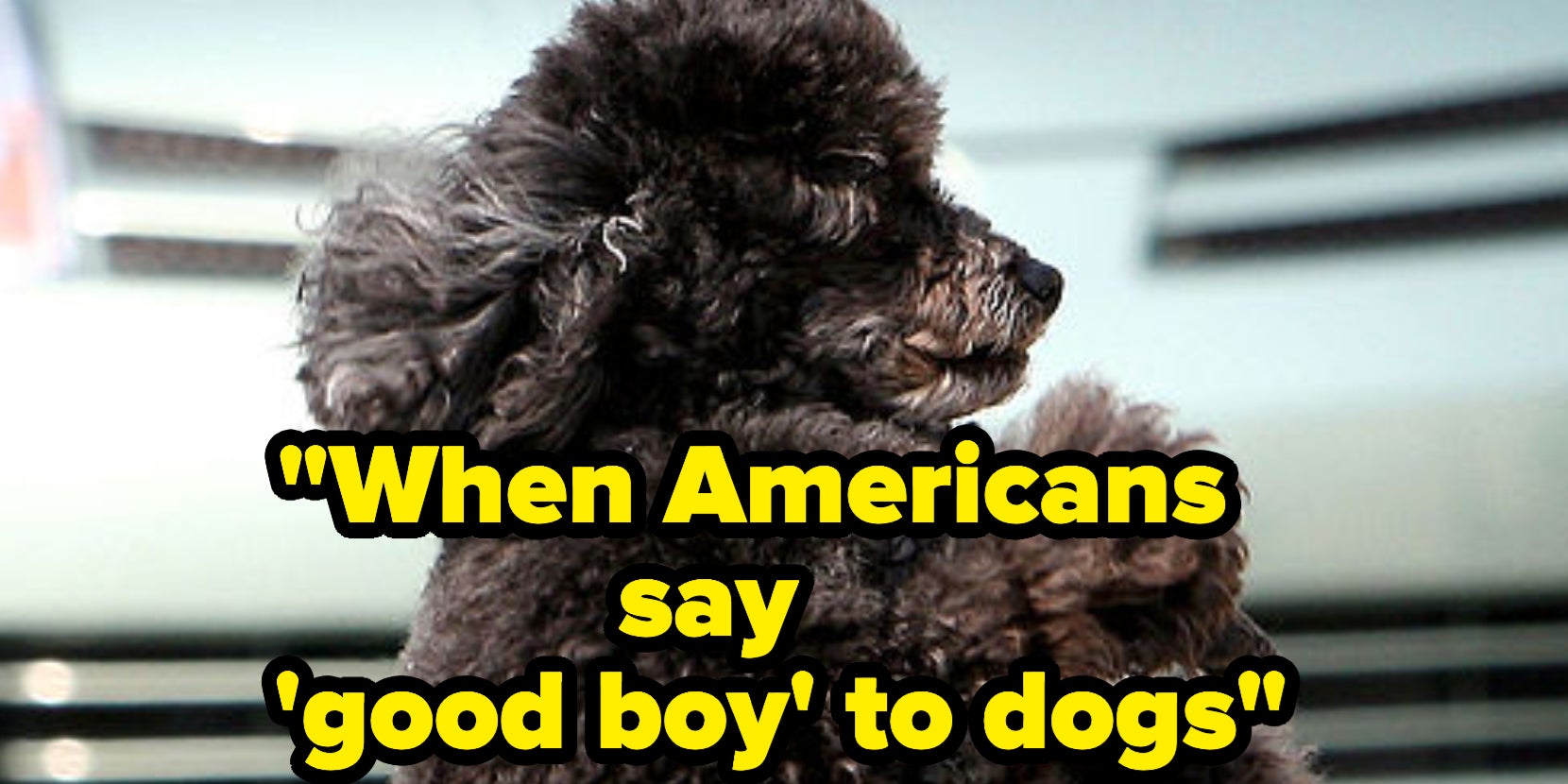 70 Things People Love About Americans - Vimarsana News