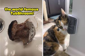 on the left a stainless steel tubshroom covered in hair; on the right a cat scratching themselves against a self-groomer