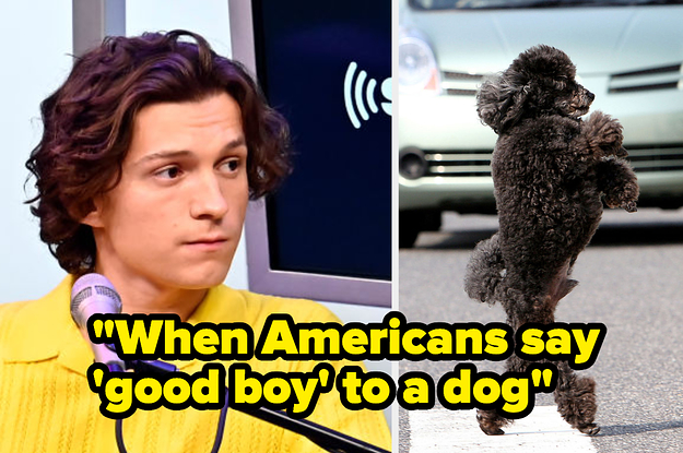 when americans say good boy to a dog