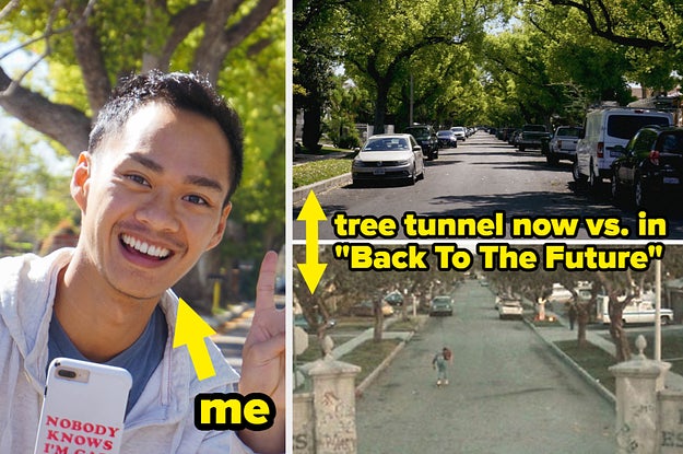 There Are Tunnels Of Trees Hidden All Over Los Angeles — Here Are 19 Of The Best And Most Surreal Ones