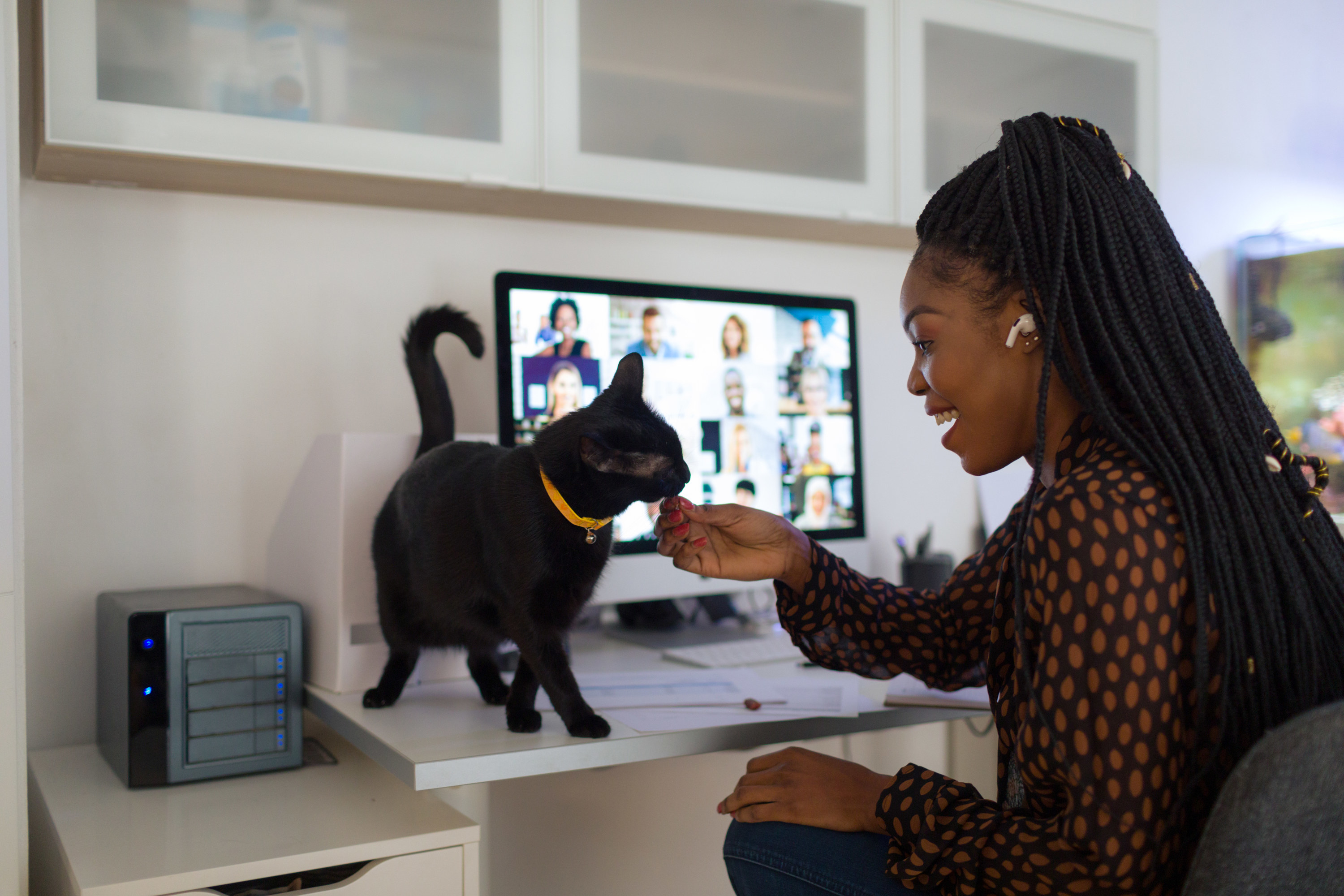 Woman working from home showing off her cat to coworkers on Zoom