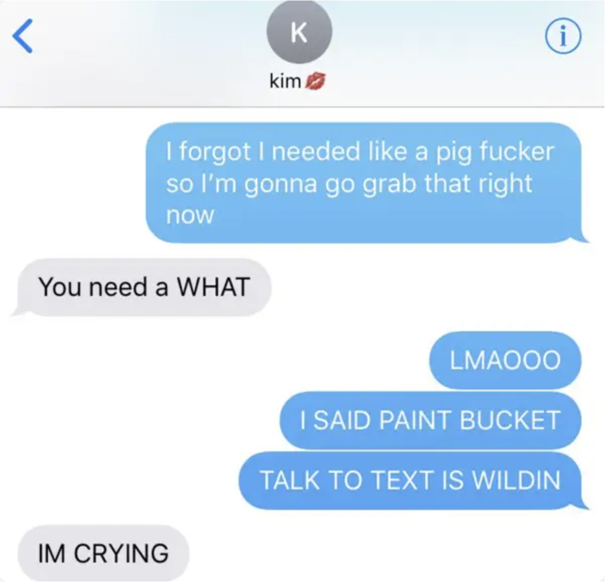 voice to text mistaking paint bucket for pig fucker