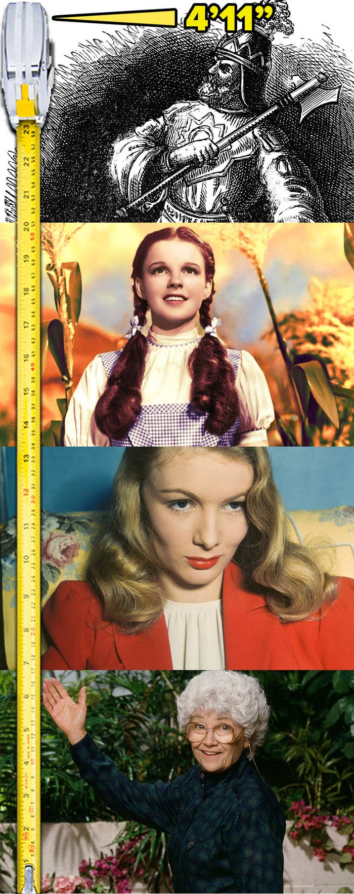 Stacked images of Attila the Hun, Judy Garland, Veronica Lake, and Estelle Getty next to a measuring tape