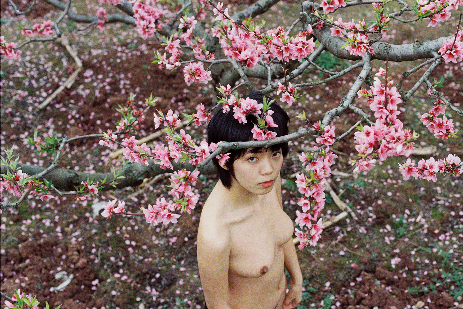 A bare-chested woman standing underneath a tree with blossoms looks up at the camera