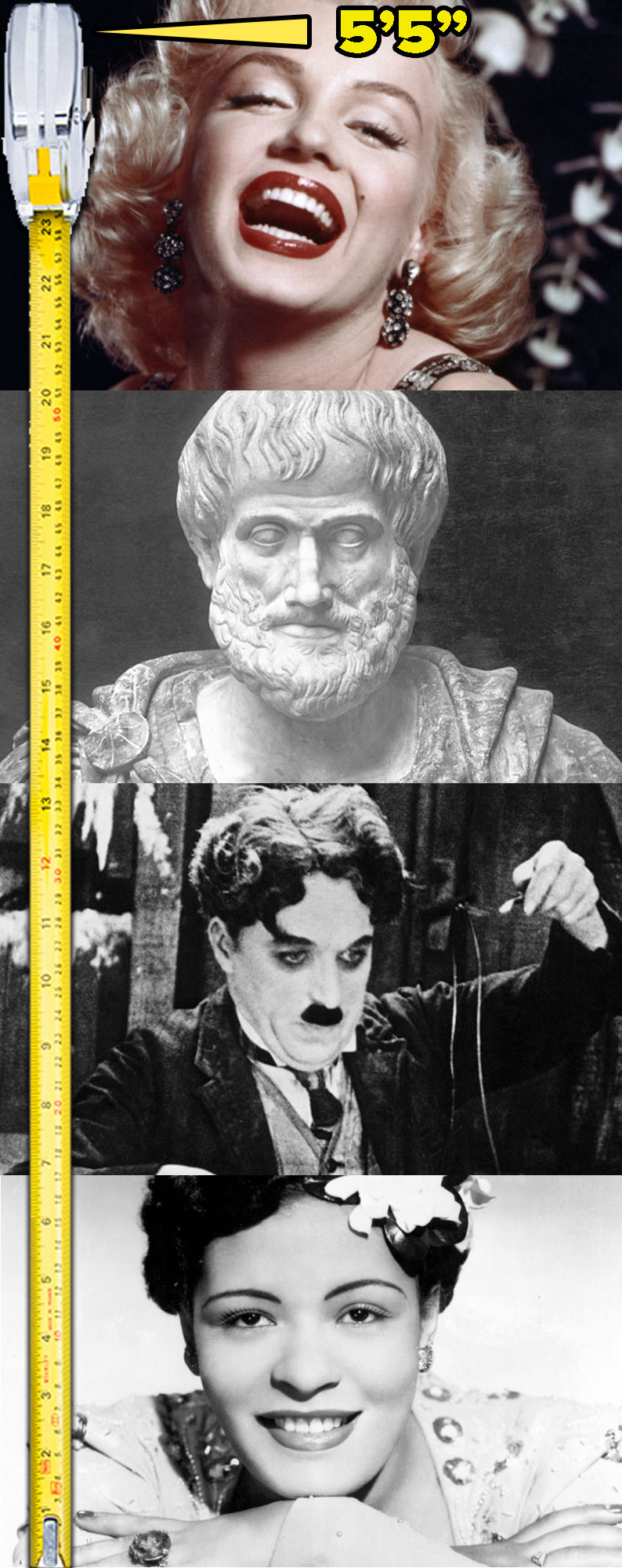 Stacked images of Marilyn Monroe, Aristotle, Charlie Chaplin, and Billie Holiday next to a measuring tape