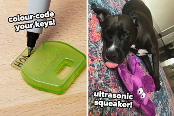 a pen being used to write "home" on a plastic key cover and a dog laying on the carpet next to an ultrasonic squeaky toy