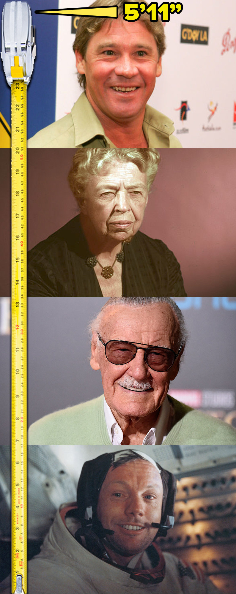 Stacked images of Steve Irwin, Eleanor Roosevelt, Stan Lee, and Neil Armstrong next to a measuring tape