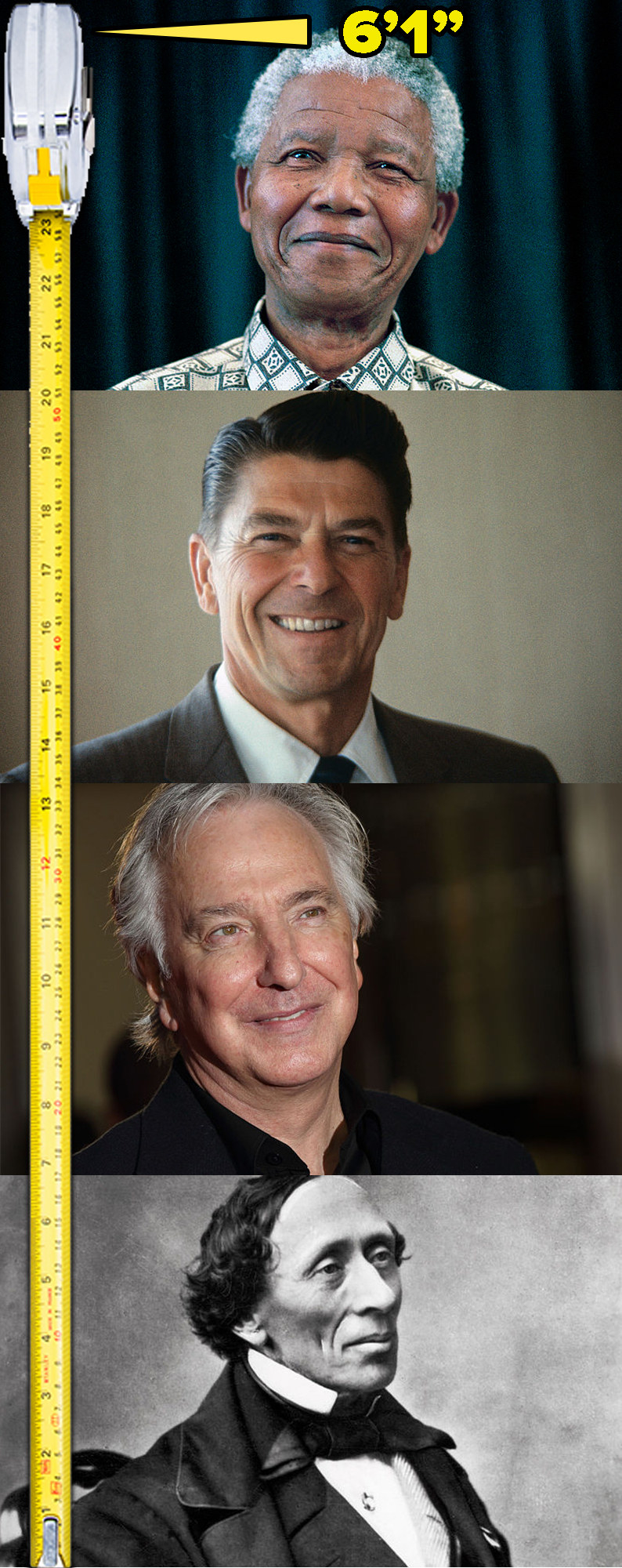 Stacked images of Nelson Mandela, Ronald Reagan, Alan Rickman, and Hans Christian Andersen next to a measuring tape