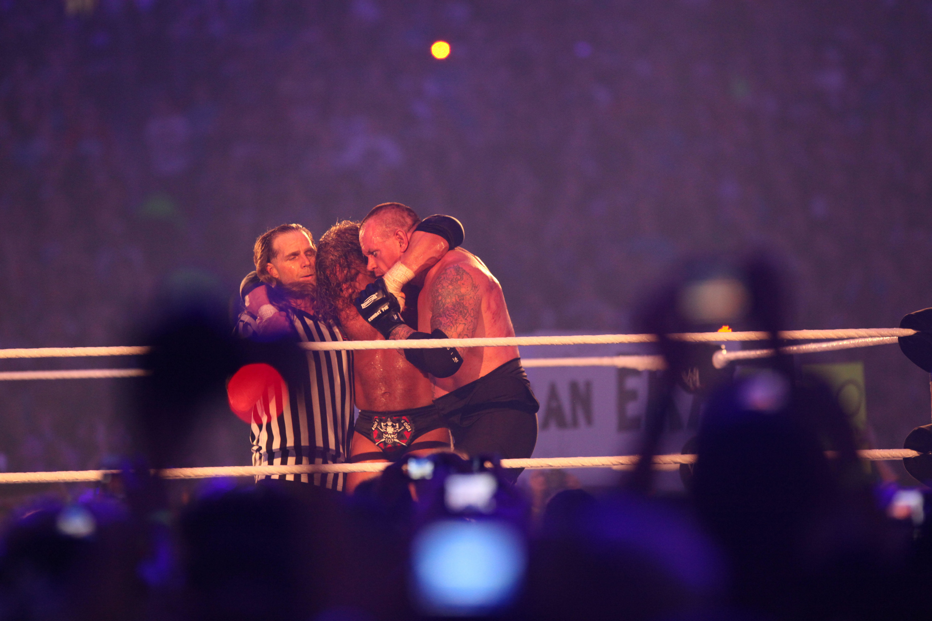 Shawn Michaels, Triple H and The Undertaker at Wrestlemania 28