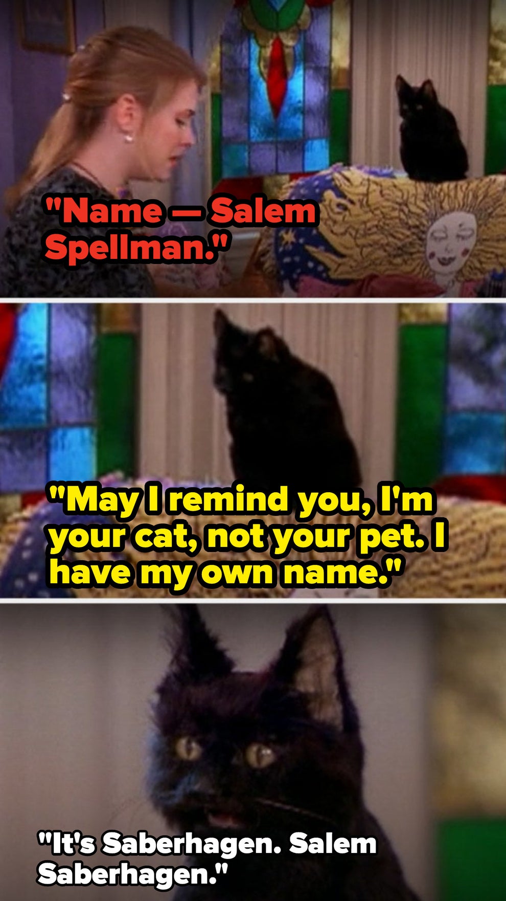 sabrina the teenage witch cat name