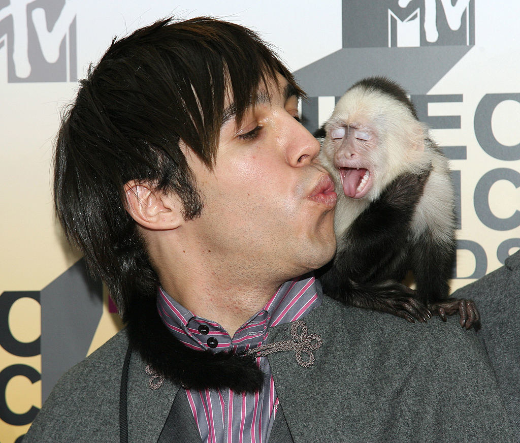 closeup of pete about to kiss the monkey