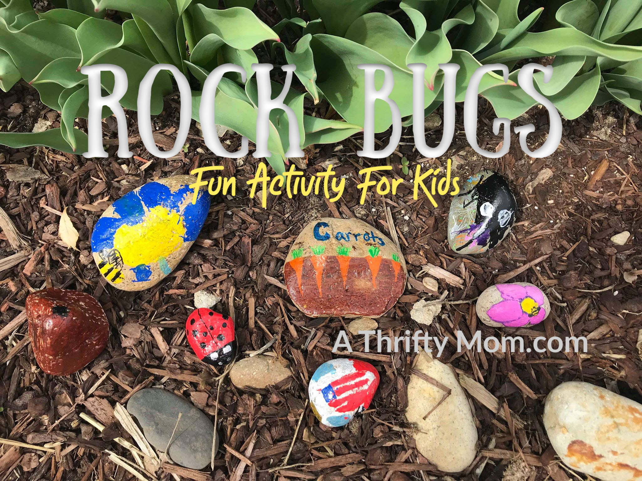 Blogger&#x27;s photo of various bugs painted on rocks