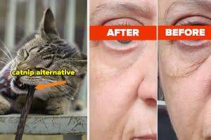 L: cat chewing matatabi stick R: reviewer before and after using eye cream showing it tightened and brightened their under-eye area