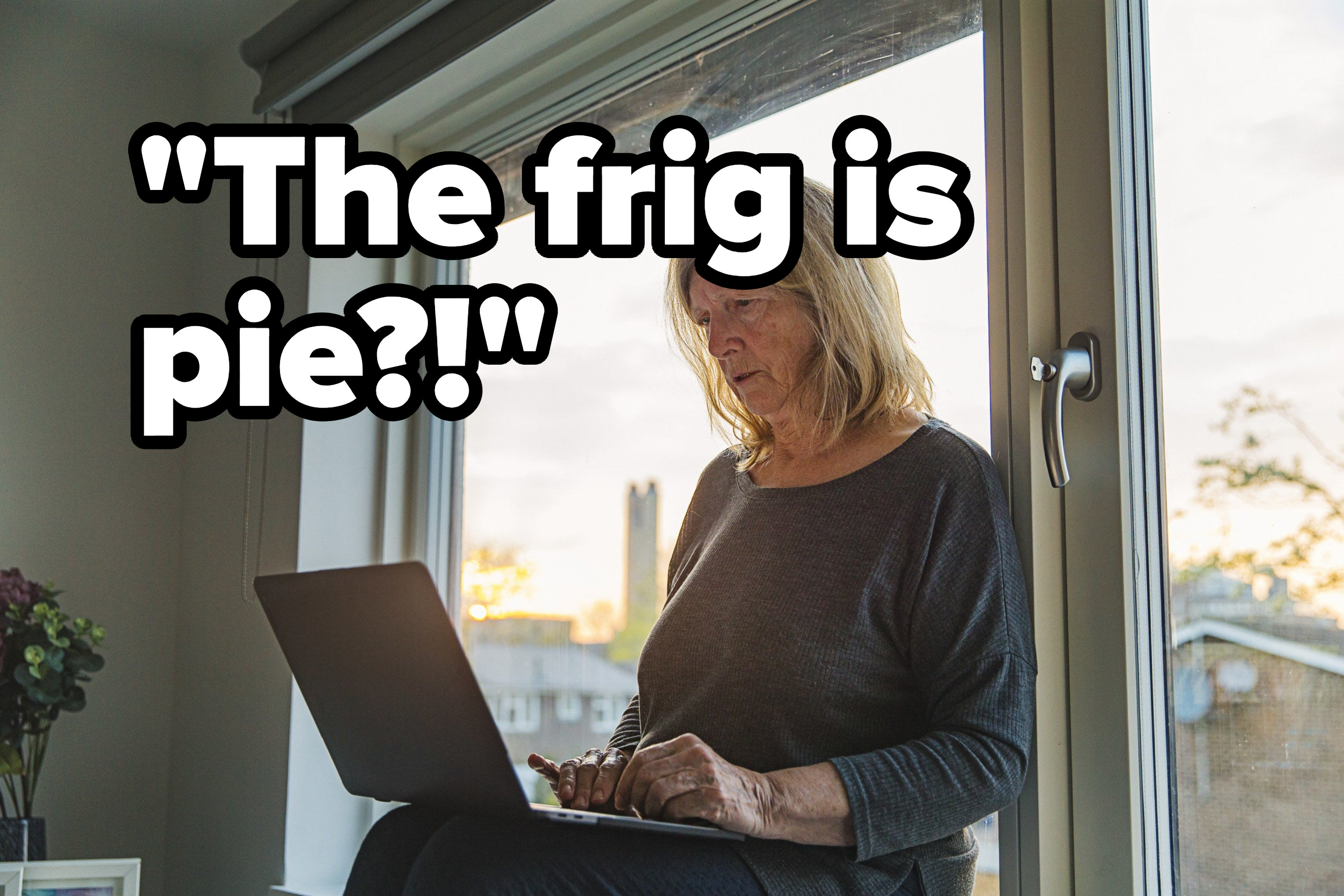an older woman on her computer confused by pie