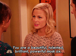 Leslie Knope telling Ann, &quot;You are a beautiful, talented, brilliant, powerful musk ox&quot;