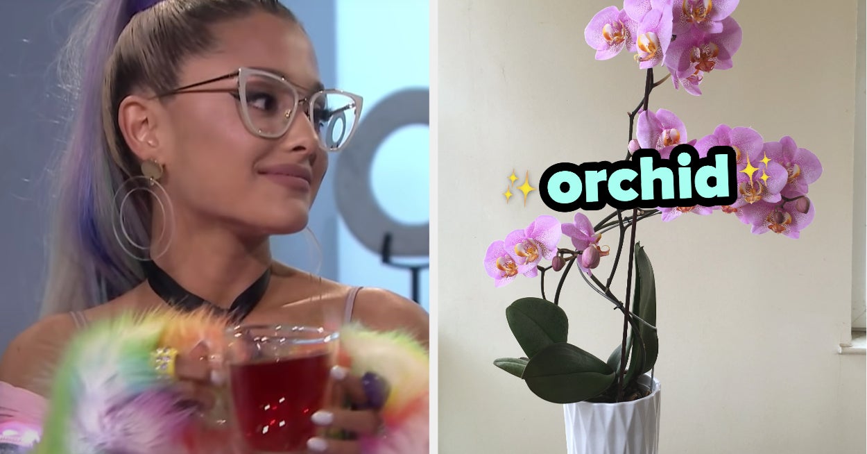 What Flower Are You Quiz