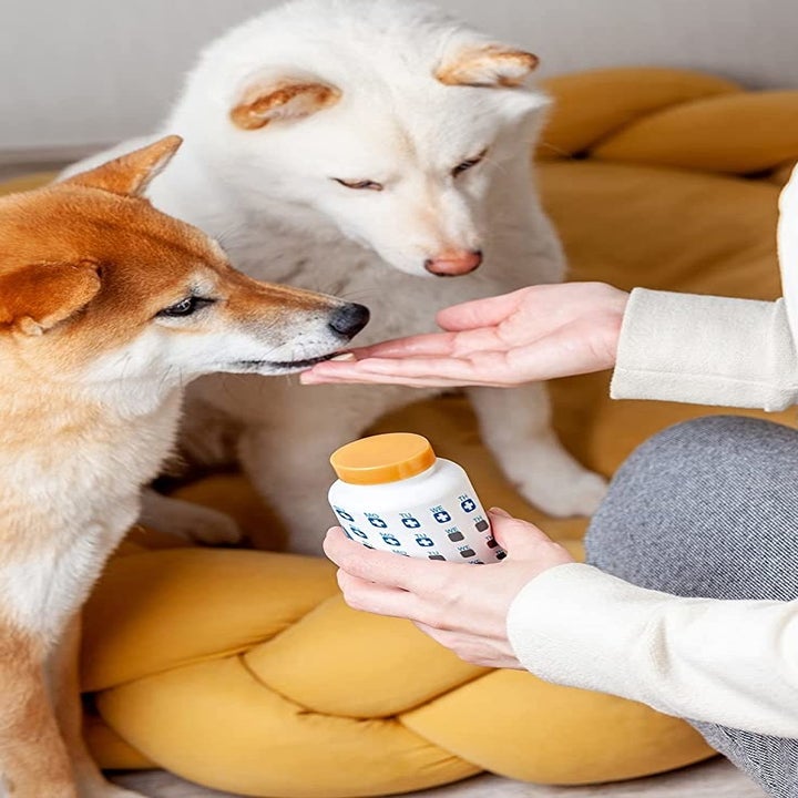 33 Best Pet Products On Amazon For Your Furry Friends