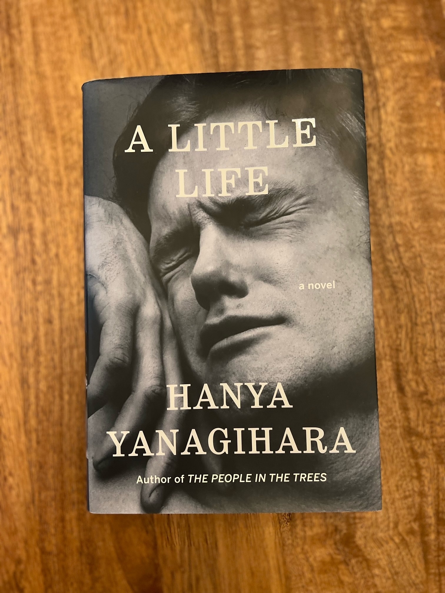 The cover of &quot;A Little Life&quot; by Hanya Yanagihara.