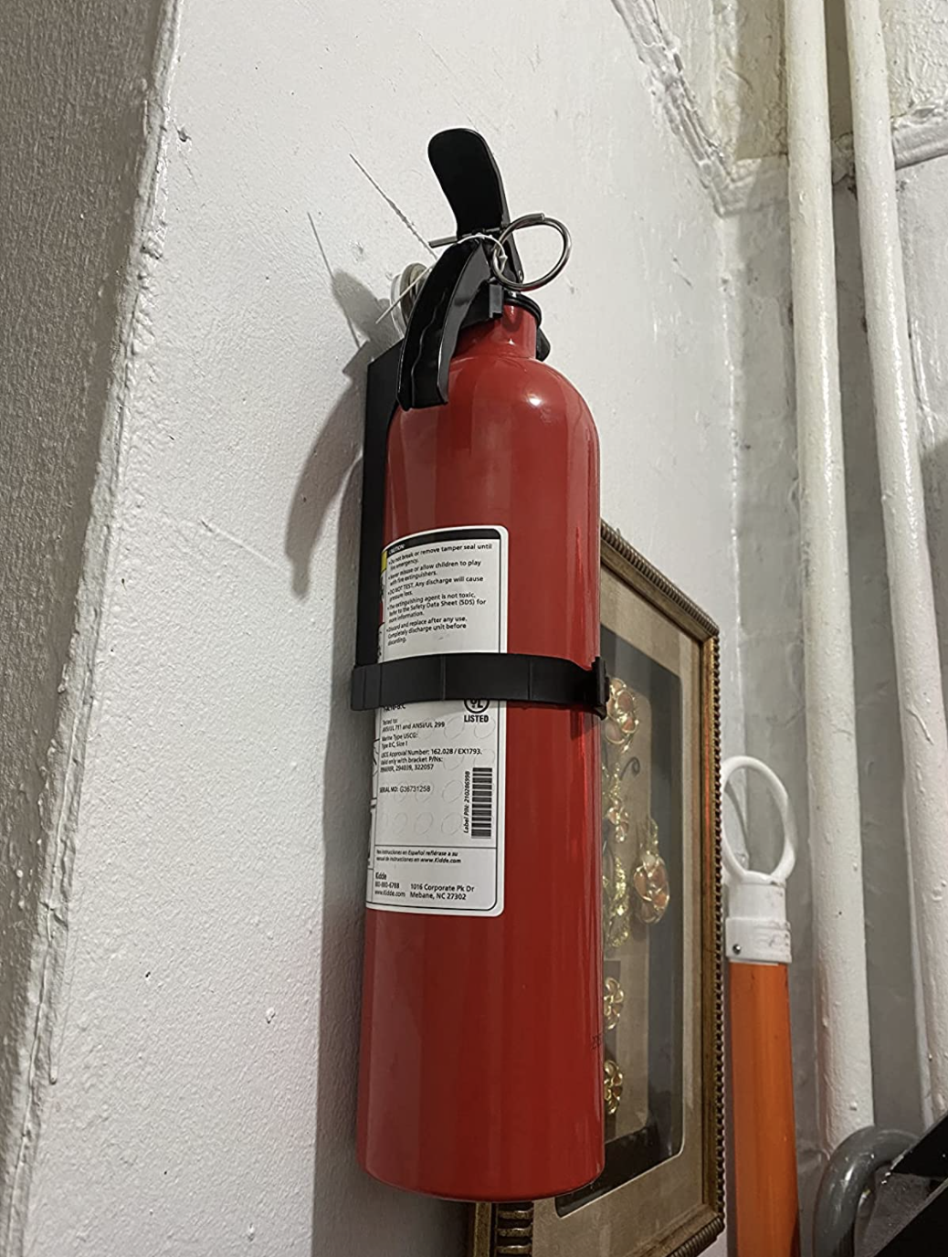 reviewer&#x27;s picture of the fire extinguisher