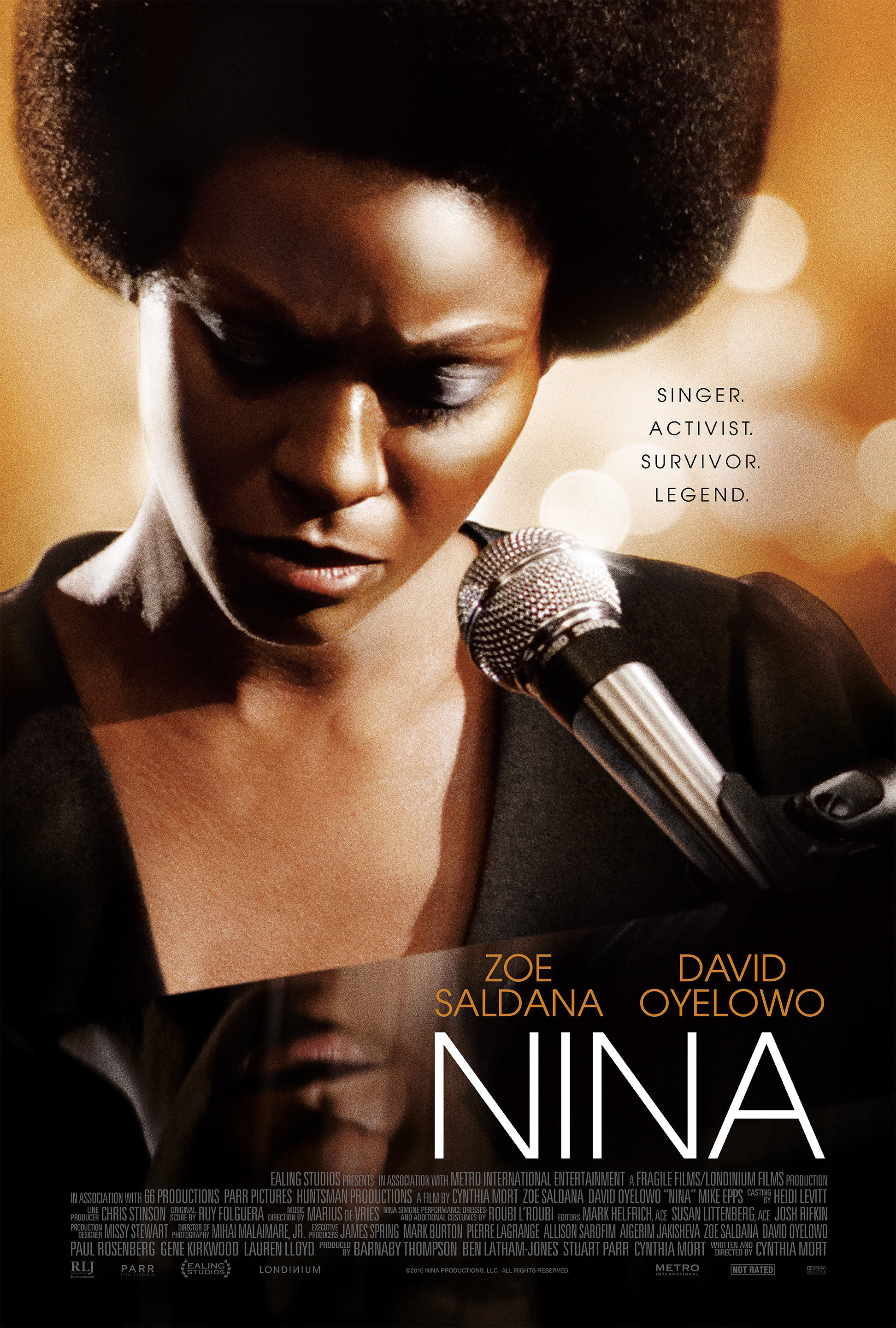 the poster for the movie NIna