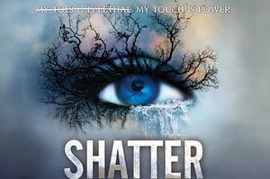 This is the cover for Tahreh Mafi's first book in the Shatter Me series. 