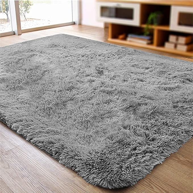 The shaggy area rug on a living room floor