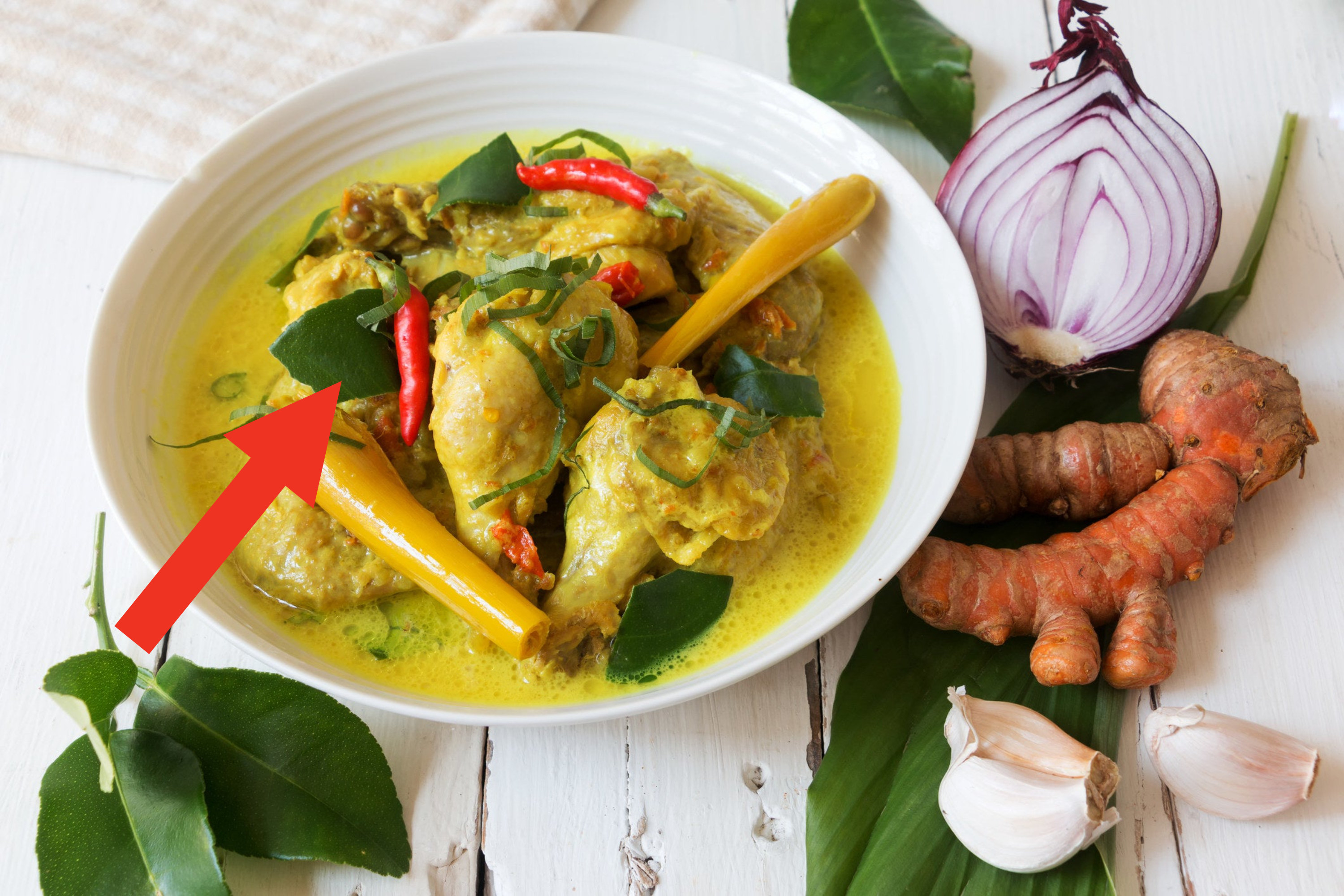 amateur dalam ramah ayam