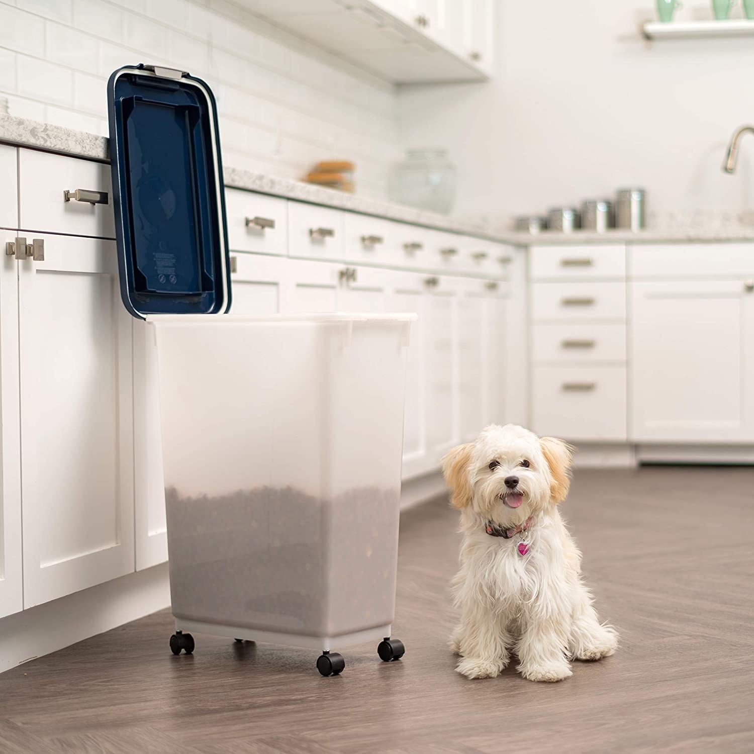a cute dog next to the lidded container on casters