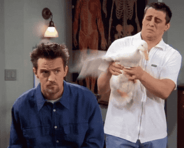 Joey holding his duck in Friends, with chandler sitting next to him