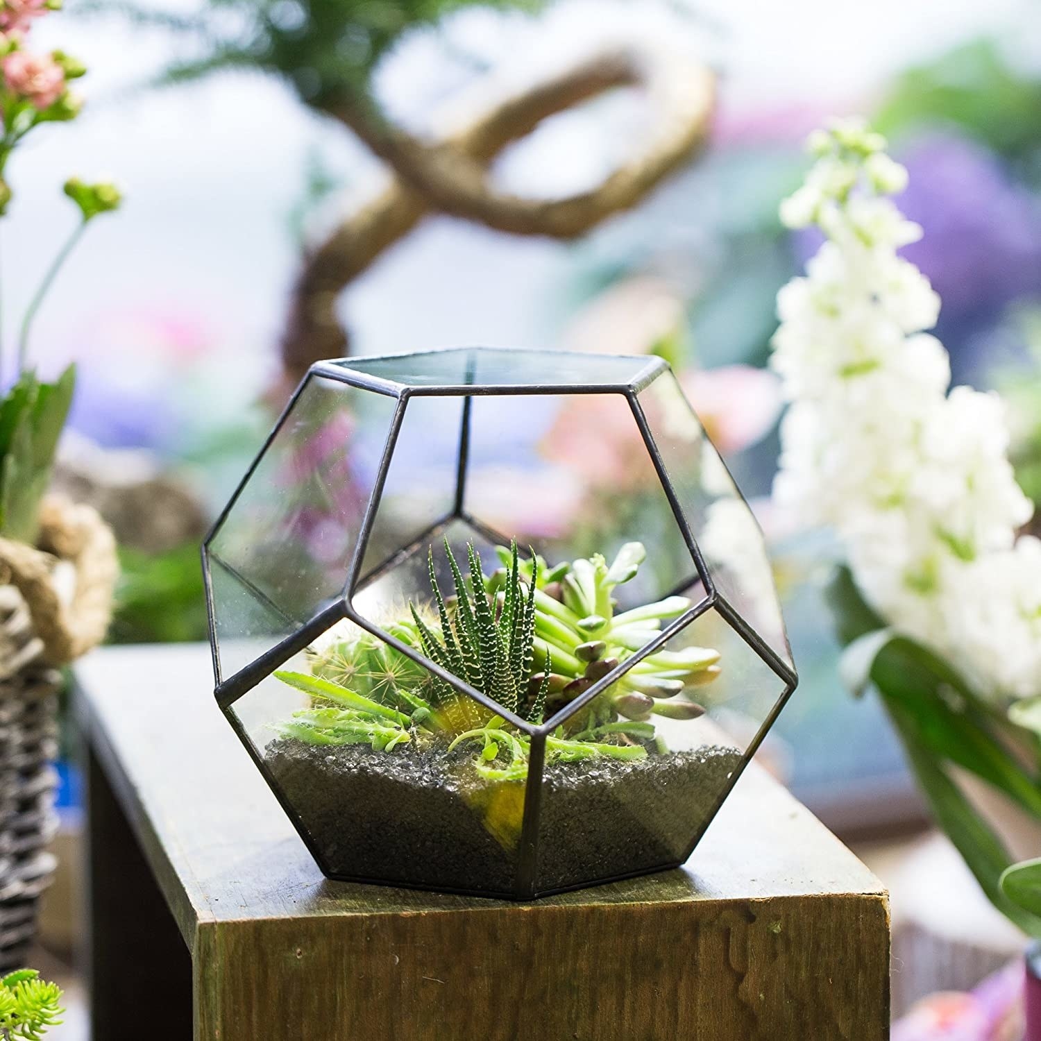 a glass terrarium with succulents planted inside