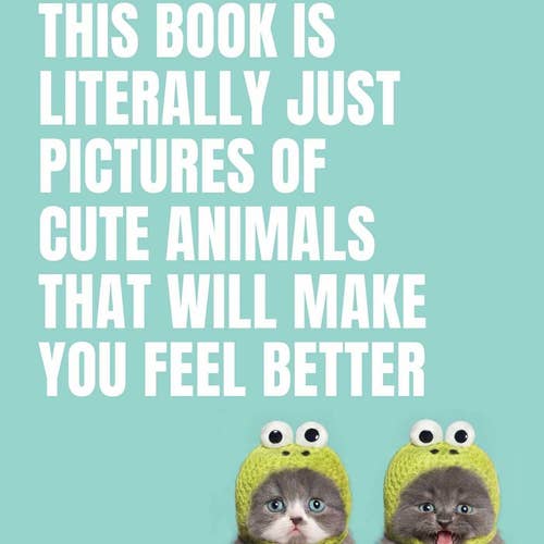 book cover with two kittens wearing frog hats