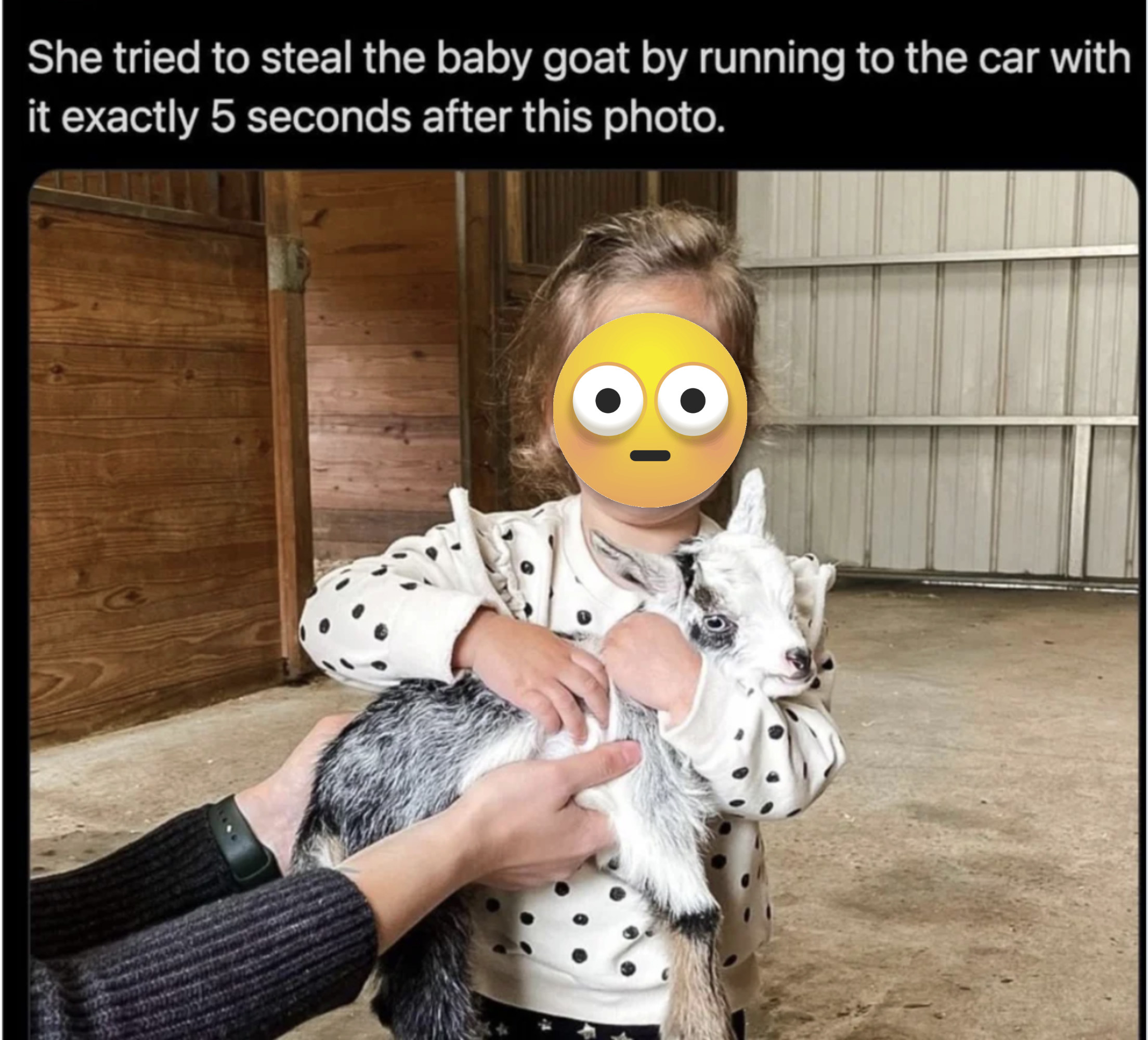 Child holding a baby goat with the words &quot;She tried to steal the baby goat by running to the car with it exactly 5 seconds after this photo&quot;