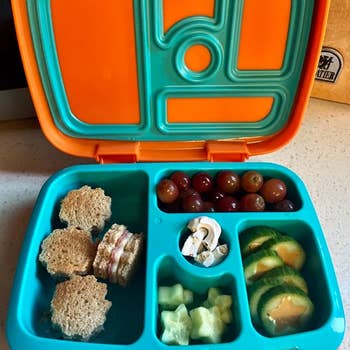 Reviewer's photo of sandwiches and cucumbers cut into flower and star shapes in their child's lunchbox