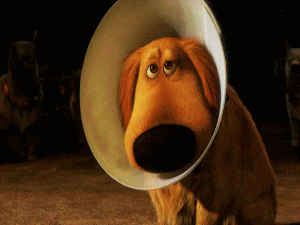 Dug from Pixar&#x27;s Up in a cone looking down sadly