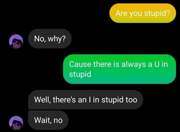 someone texts are you stupid cause there is always a u in stupid and they respond there&#x27;s an i in stupid too oh wait no