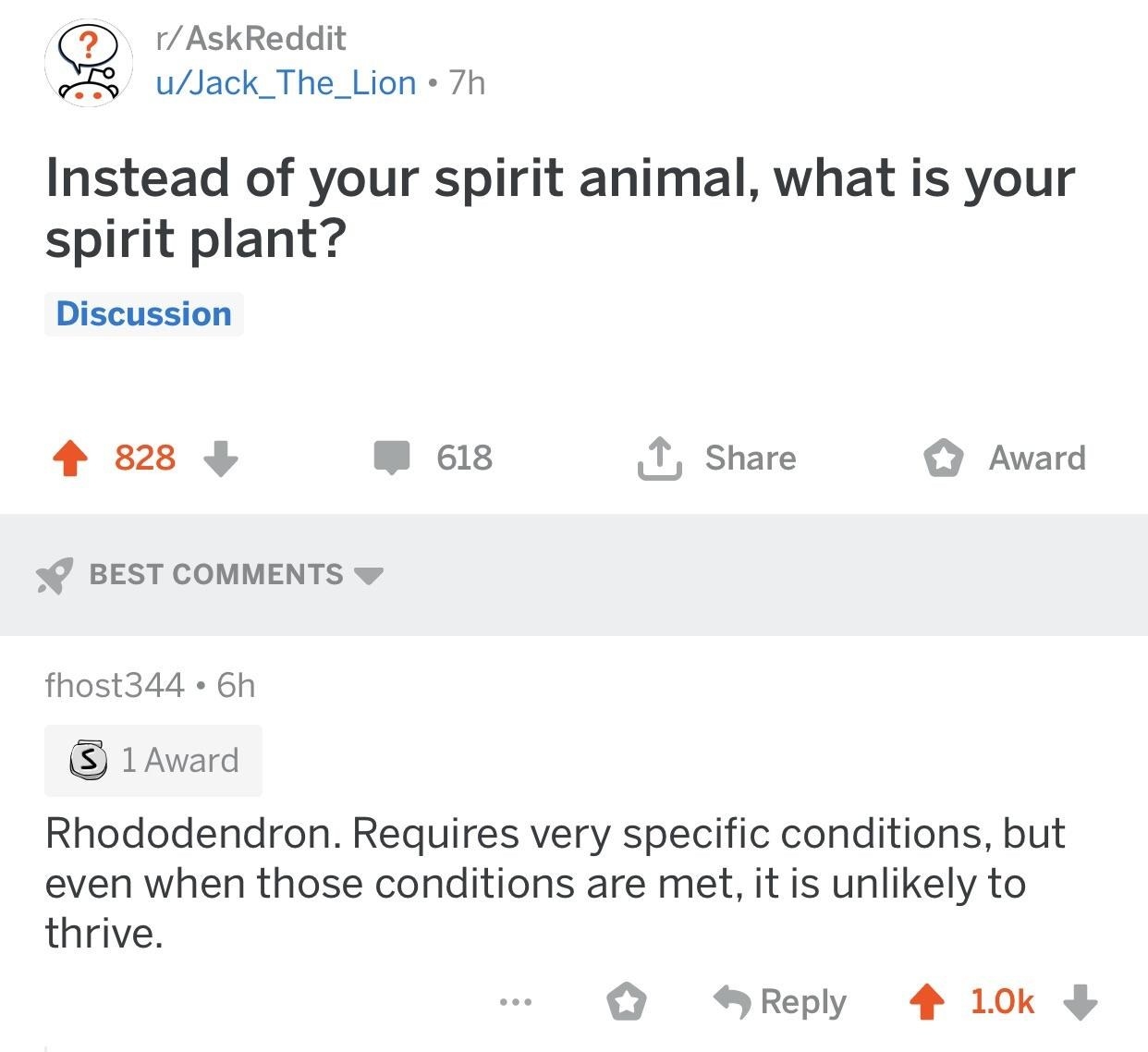 someone asks what is your spirit plant and a person responds it is a rhododendron because they require very specific conditions and are unlikely to thrive