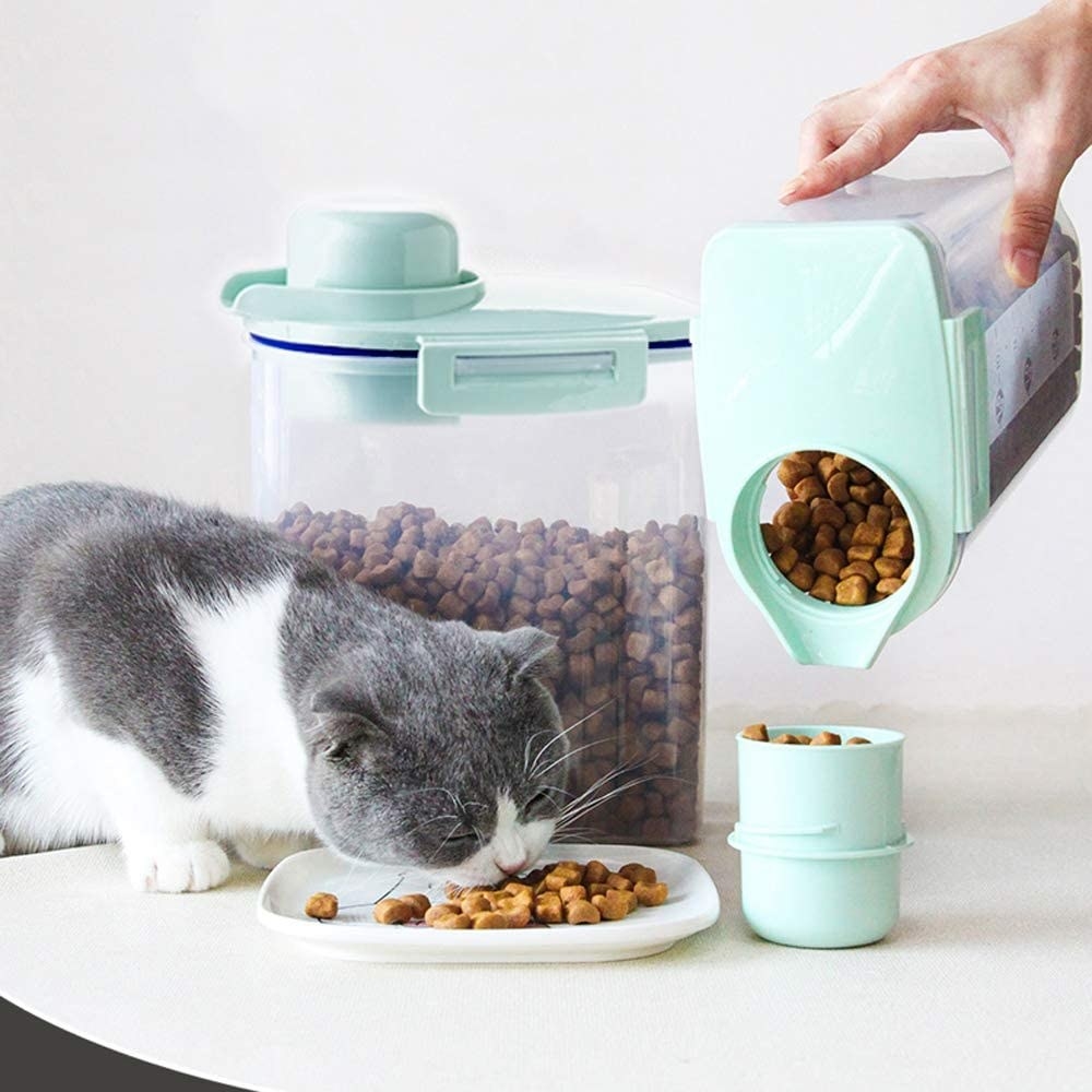 A cat eating from a plat while someone pours pet food into a cup