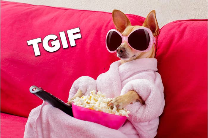 Dog on the couch with remote control and eating popcorn