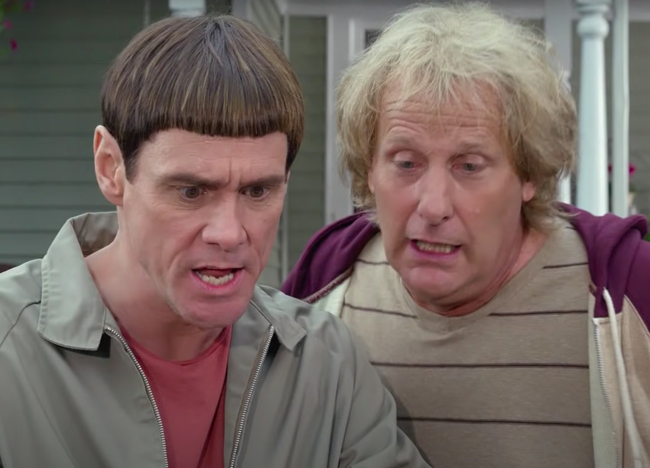 Jim Carrey and Jeff Daniels as Lloyd and Harry read a postcard in &quot;Dumb and Dumber To&quot;