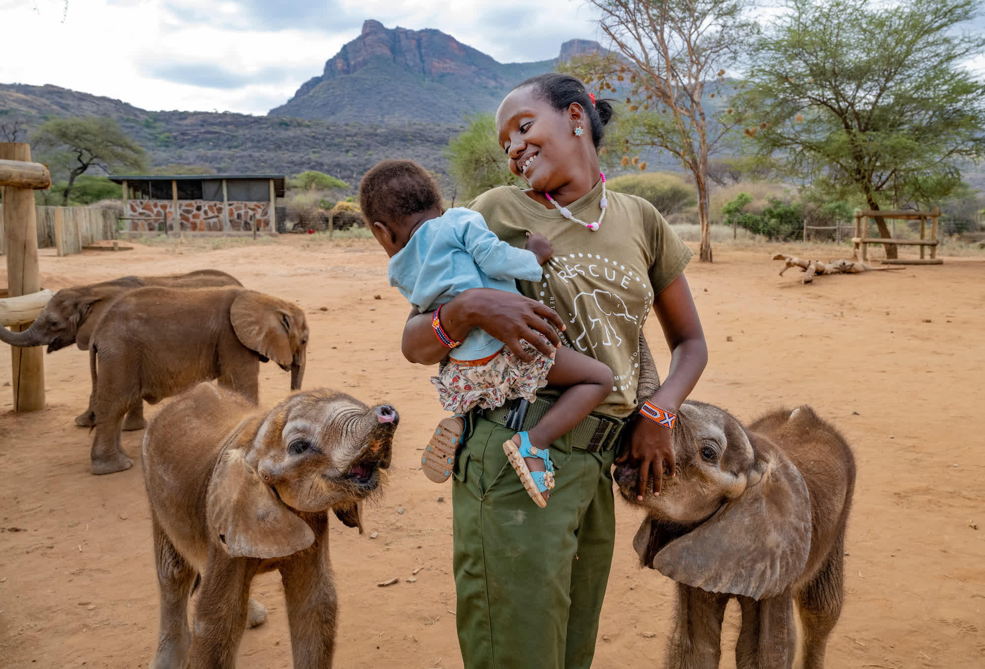 Baby elephants gather around a woman and her child