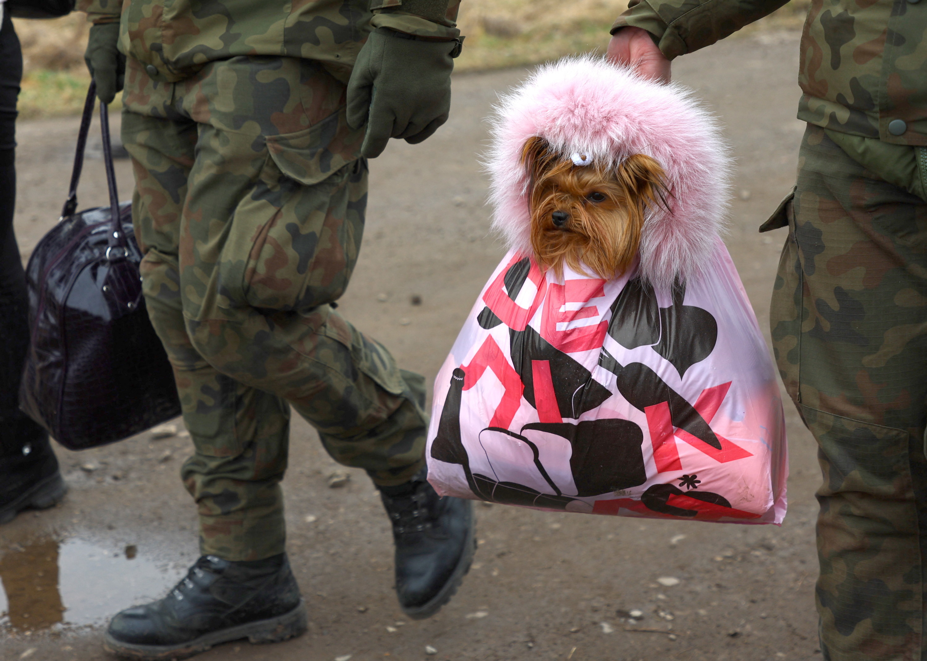 A  Polish army soldier carries a refugee&#x27;s dog, wearing a fur collar, in a plastic bag on the way to board a train