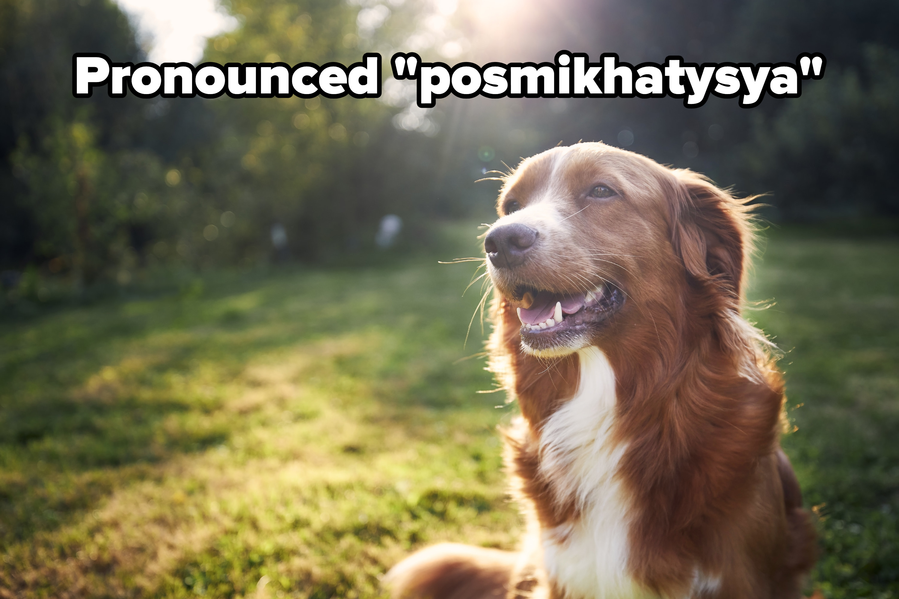 Pronounced posmikhatysya
