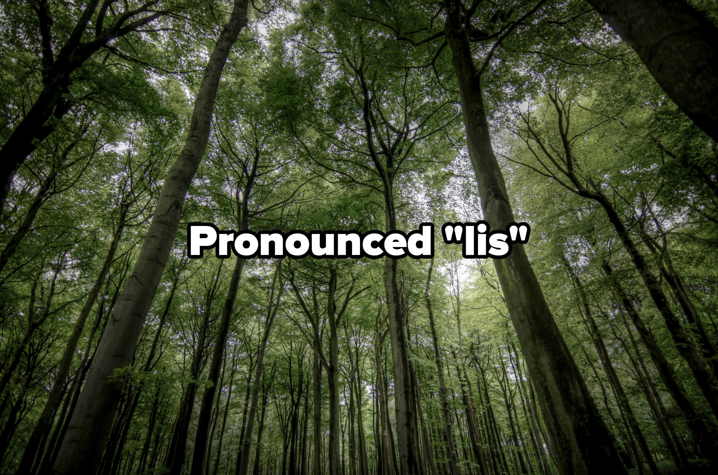 Pronounced lis