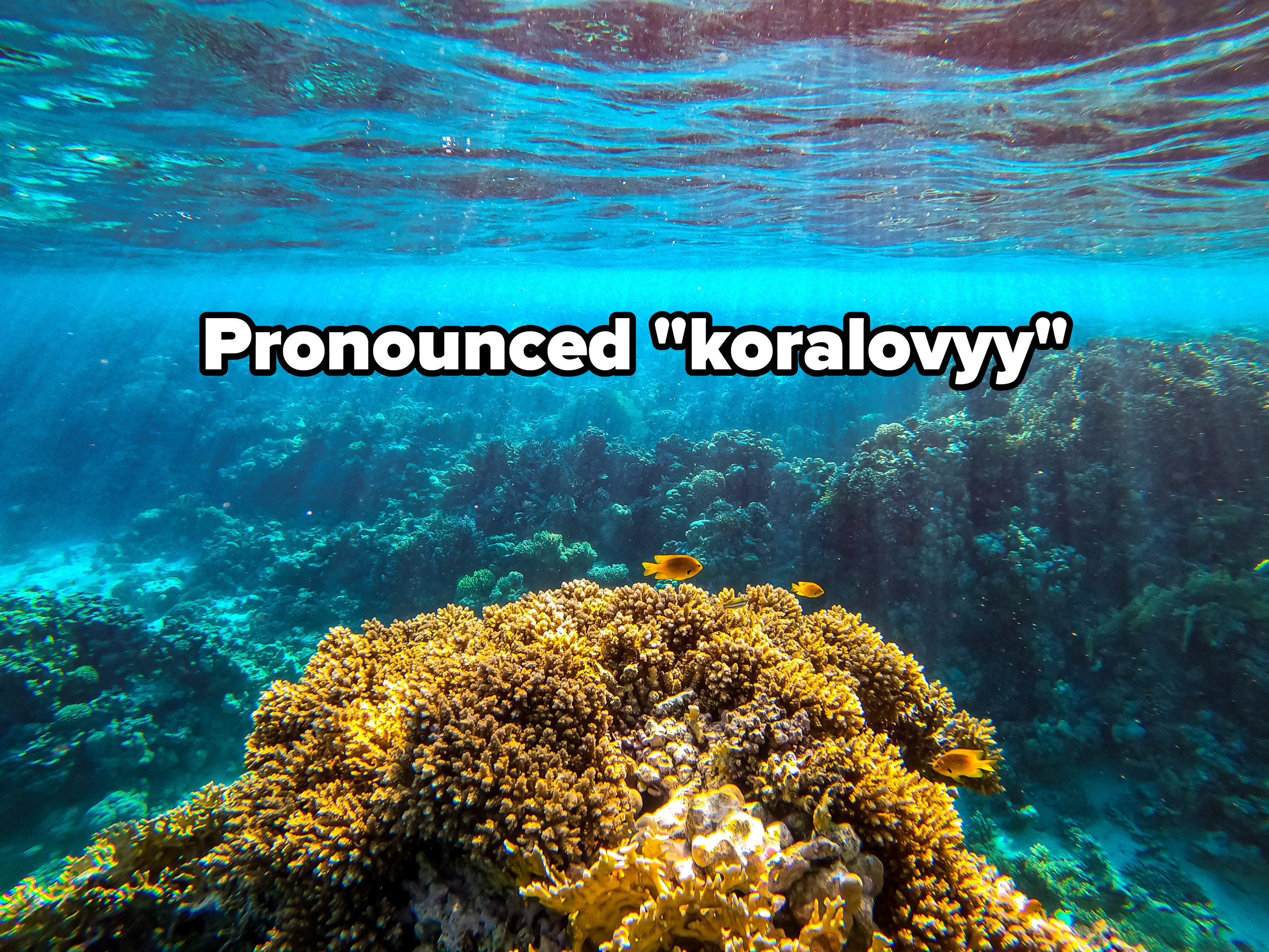 Pronounced koralovyy
