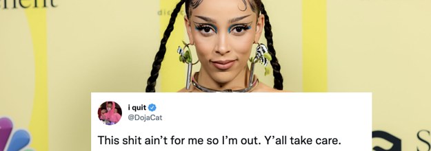 Professor, students reevaluate burnout after Doja Cat quits music - The  Daily Illini