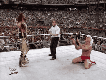 Ric Flair Begging Randy Savage to stop